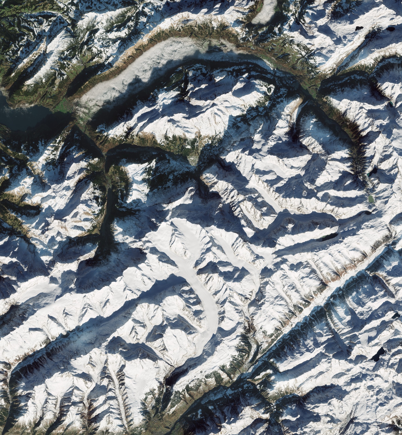 Snow-capped Swiss Alps seen from space. Credit: ESA